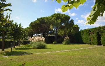 investimento-04